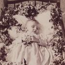 Child in flower-strewn cot